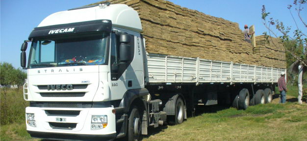 Transporte de Quinchos